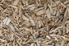 biomass boilers Bremirehoull